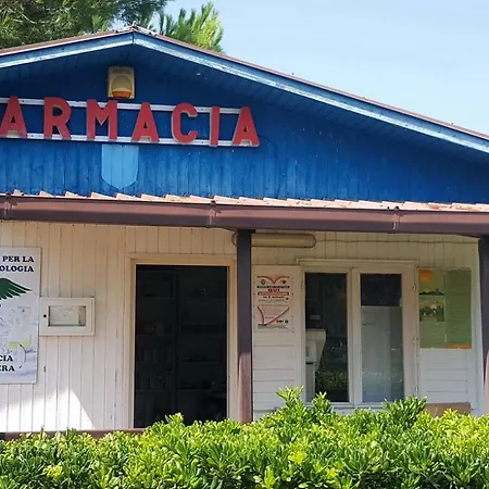 Apartment La Bricola 239