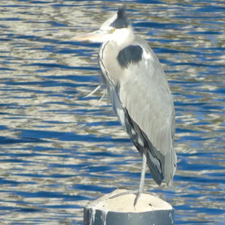 La Bricola 239 Apartment I Casoni