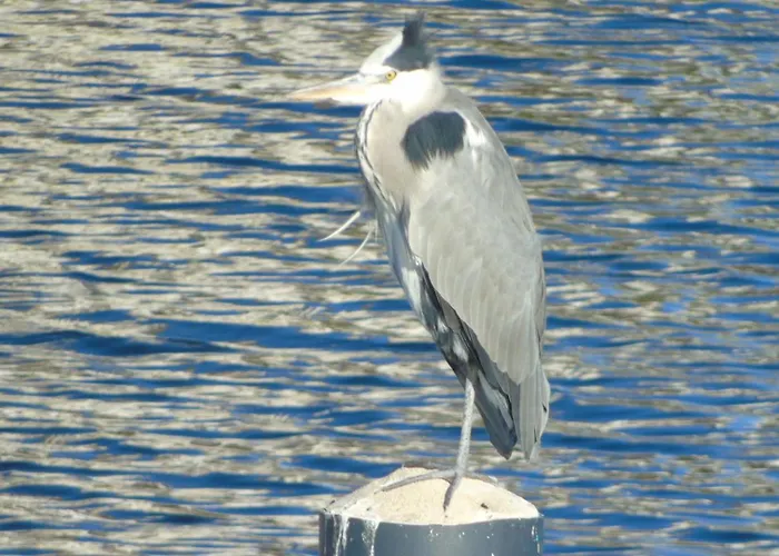 La Bricola 239 公寓 I Casoni